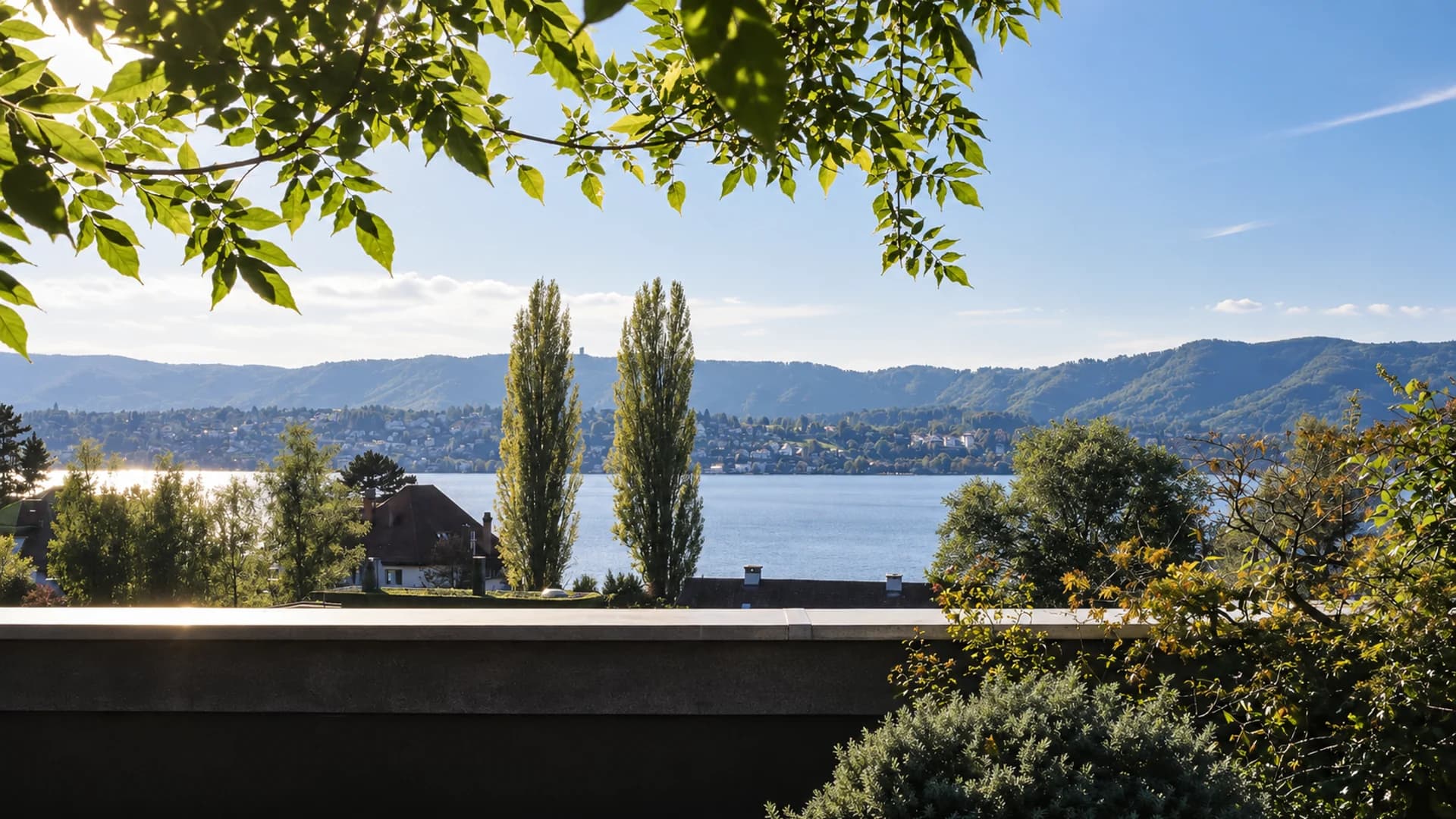 Blick auf den Zürichsee